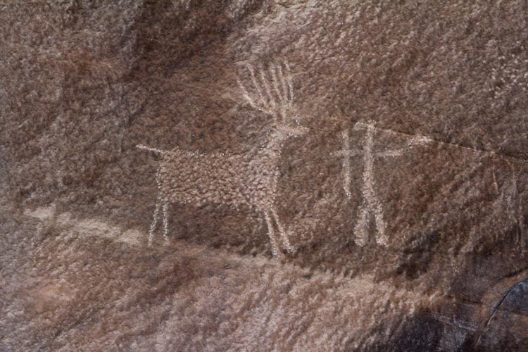 Petroglyphs / Cattleguard Site in Buckhorn Wash (Utah)