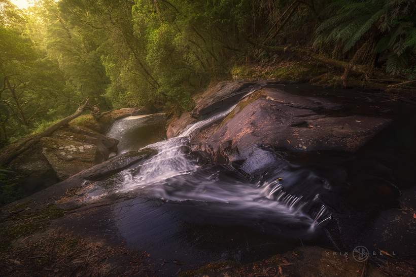 Waterfalls in temperate rainforest habitat south-east Australia