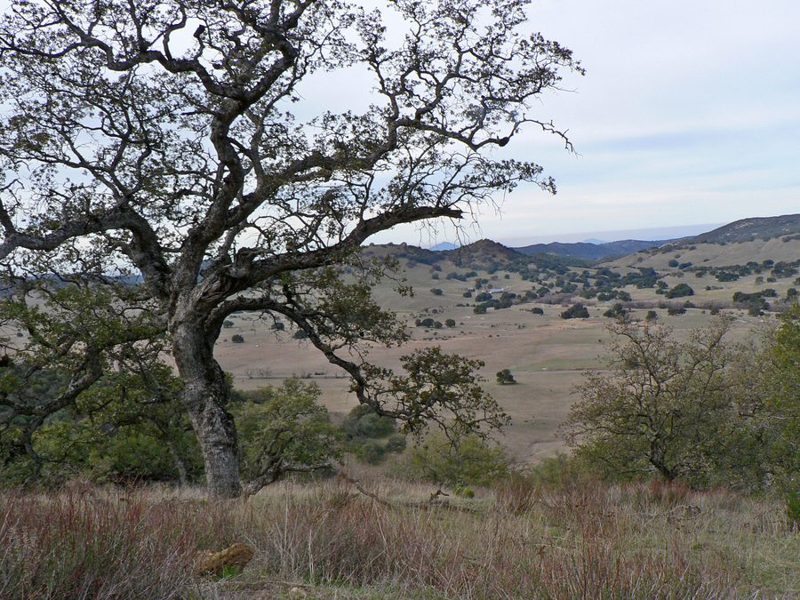 View of Santa Ysabel Valley