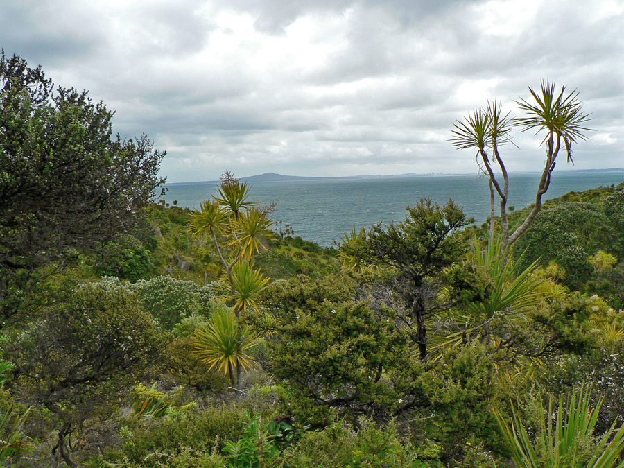 View of Rangitoto Island