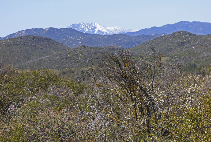 View of San Gabriel Mountains
