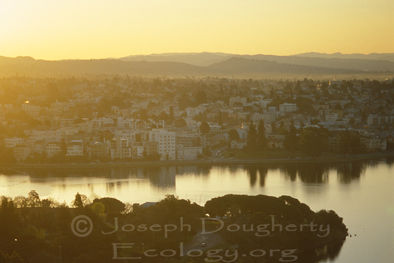 Sunrise over Lake Merritt in Oakland.