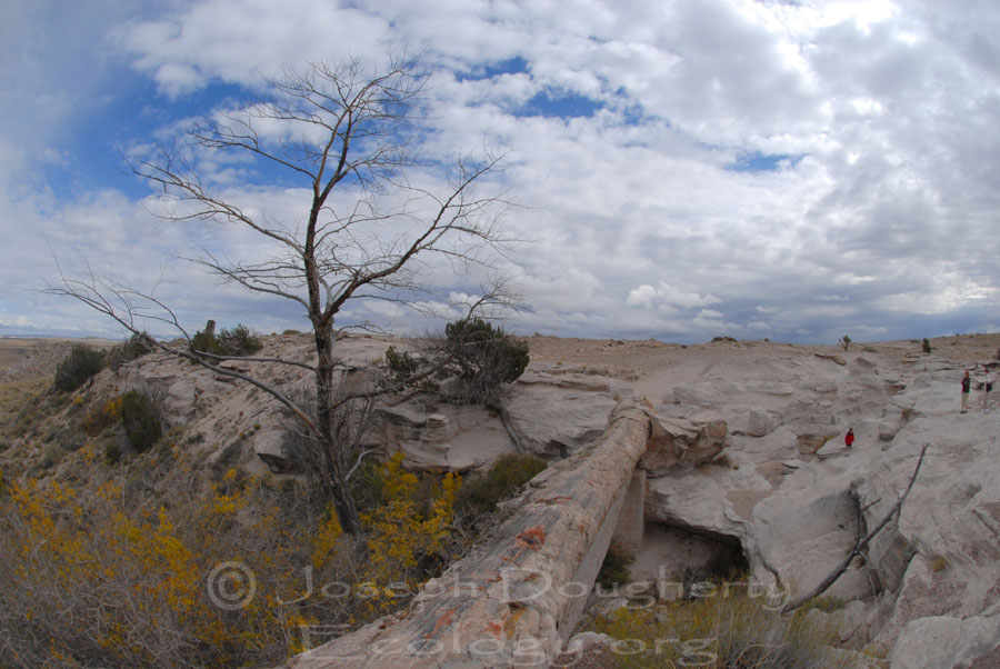 Agate Bridge under cloudy skies, in Petrified Forest National Park