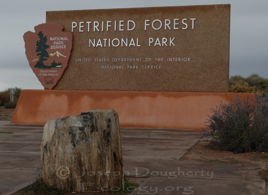 Entry gate to Petrified Forest National Park
