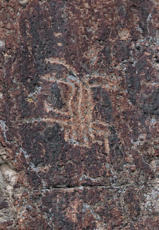 Petroglyph / Fremont Indian State Park (Utah)