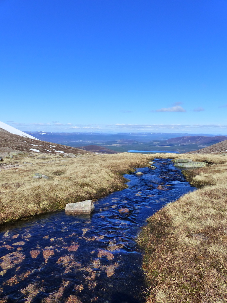 Stream at edge of slope on Cairngorm Mountain