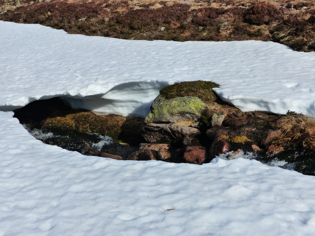 Stream under melting snow on Cairngorm Mountain