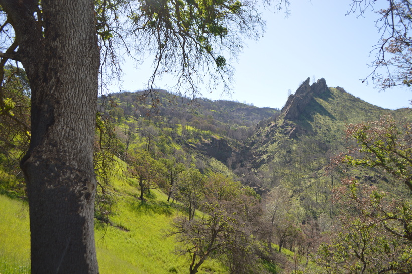 View of Pinnacles among Oak Woodland in Putah Creek State Wildlife Area