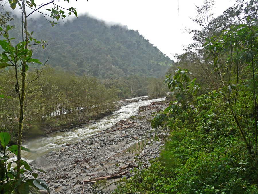 Papallacta River from Torrent Duck Trail