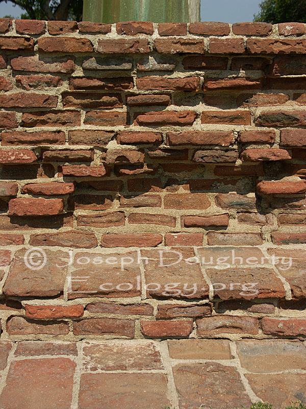 Fountain bricks -- old and weathered adobe -- in front of the Mission San Luis Rey de Francia