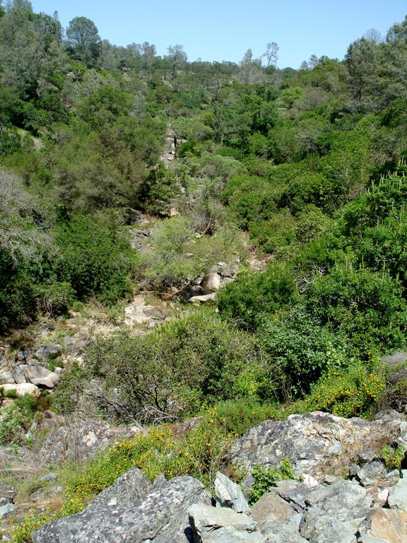 Rock Creek Canyon, looking East