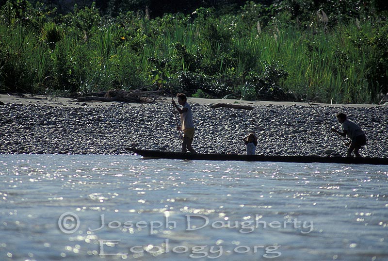 Gold panners in dugout canoe on the Rio Napo in the Amazon forest.