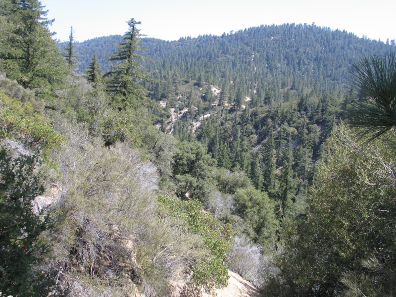 Boatwright Molybdenum prospect located in the San Gabriel Wilderness in Los Angeles County, California