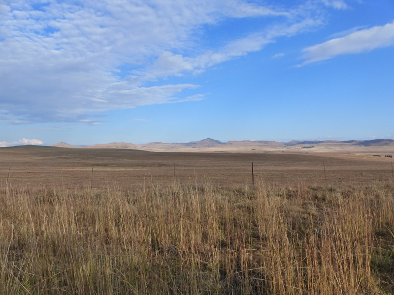 Fields near Wakkerstroom, Mpumalanga