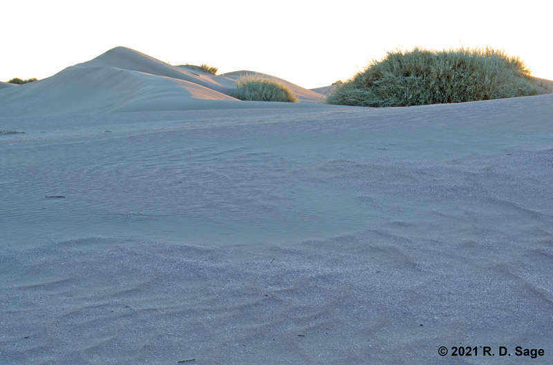 Mobile sand dune