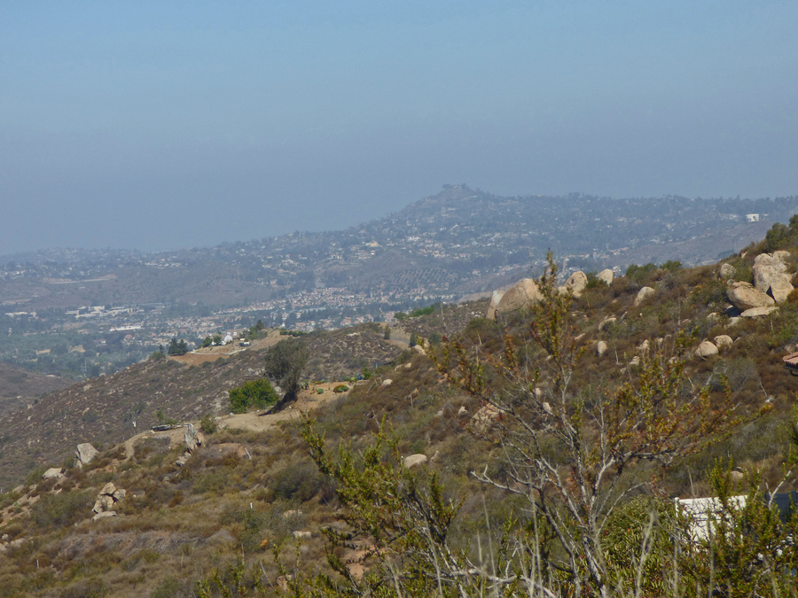 Mt. Helix seen from lower McGinty Mtn. trail