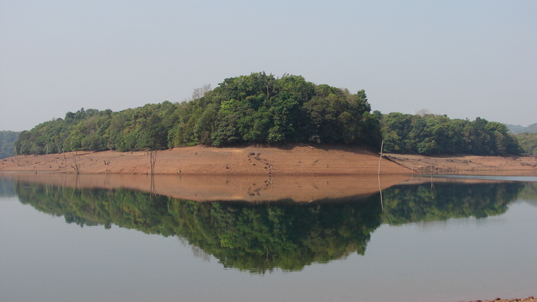 Island vegetation: Inundated hillock with vegetation