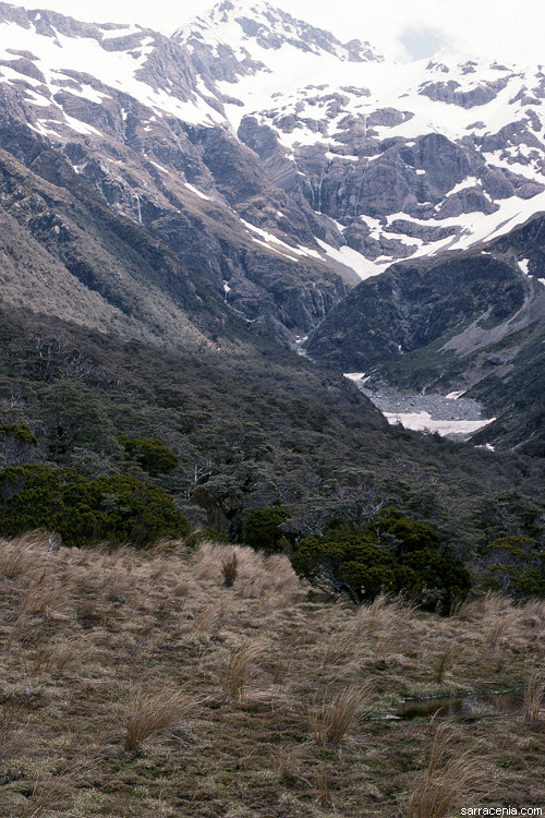 Arthur's Pass