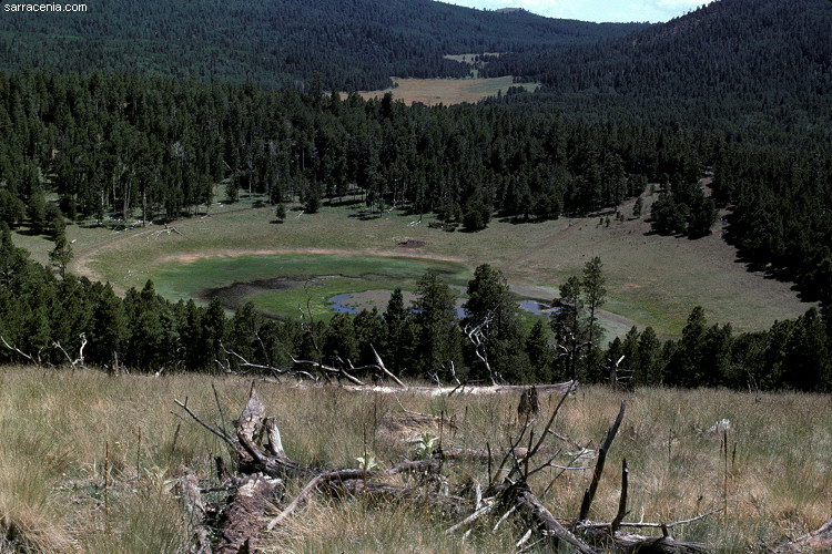 Walker Lake, inside a volcanic crater
