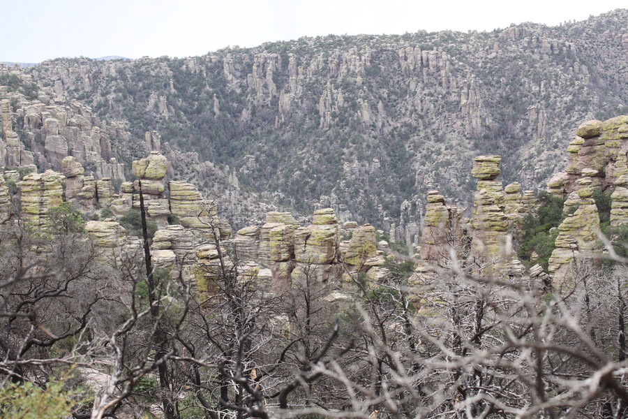Hoodoos at Chiricahua National Monument, Cochise County, Arizona Hoodoos at Chiricahua National Monument, Cochise County, Arizona