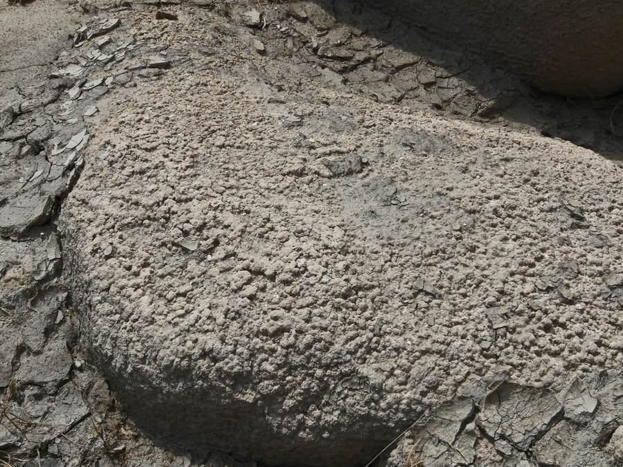 Stromatolites in the dry creek bed