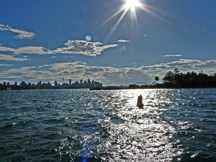 Coast near Sydney, seen from returning boat