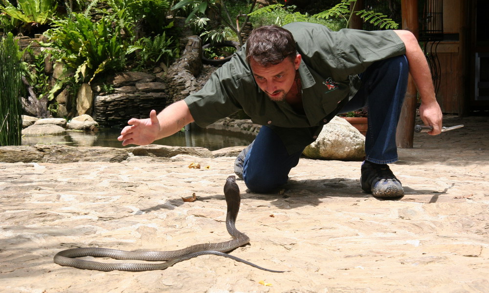 Mario Lutz with Ophiophagus hannah Mario Lutz with Ophiophagus hannah