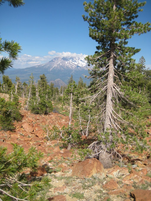 view east to Mt. Shasta from headwaters of Wagon Creek, Mount Eddy, eastern Klamath Ranges.