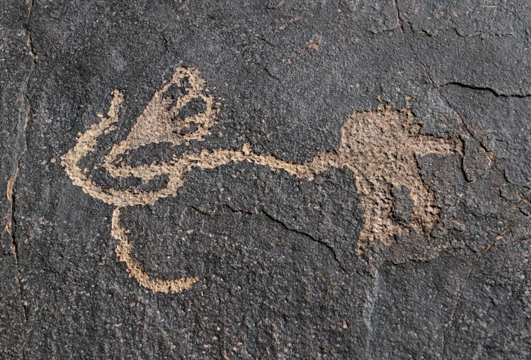 Petroglyph at Santa Clara River Reserve (Utah)