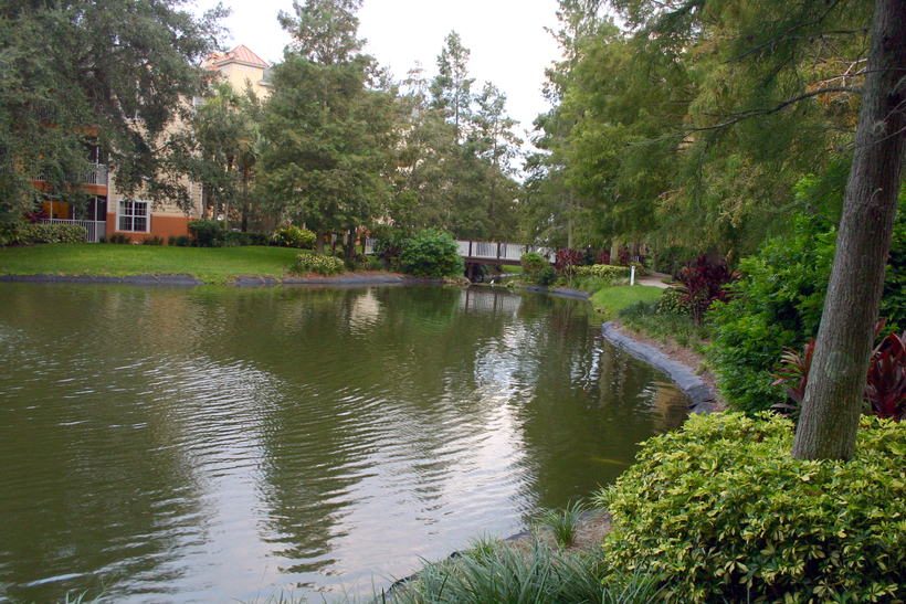 Sheraton Vistana Resort Villas (Florida)