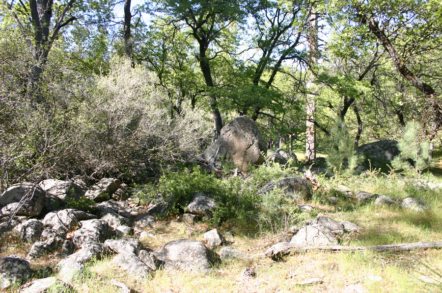 Greenhorn Mtns in Sierra Nevada Foothills