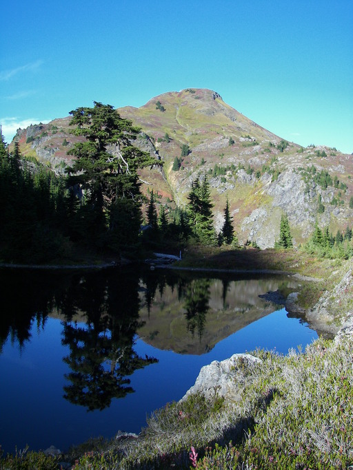 Yellow Aster Butte reflection