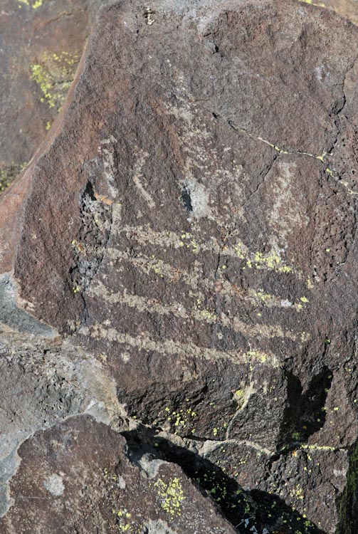 Petroglyphs / Inscription Canyon Site (California)
