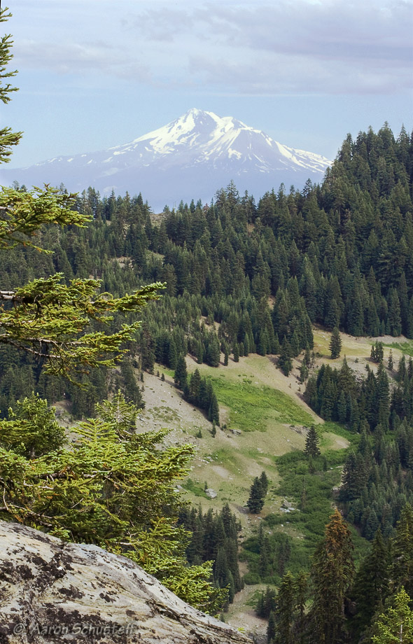 View of Mt Shasta from the northwest