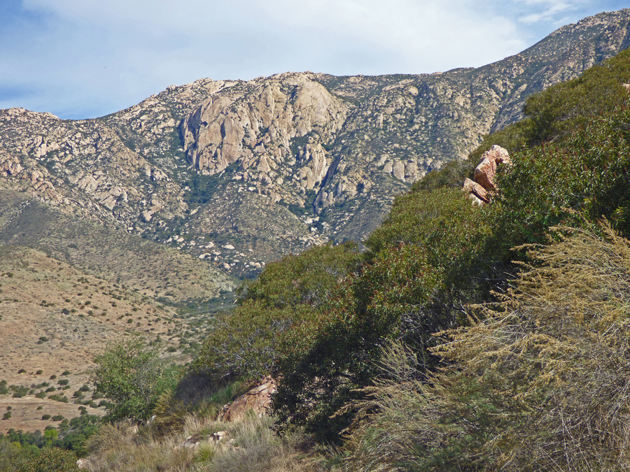 View of El Cajon Mtn from park trail