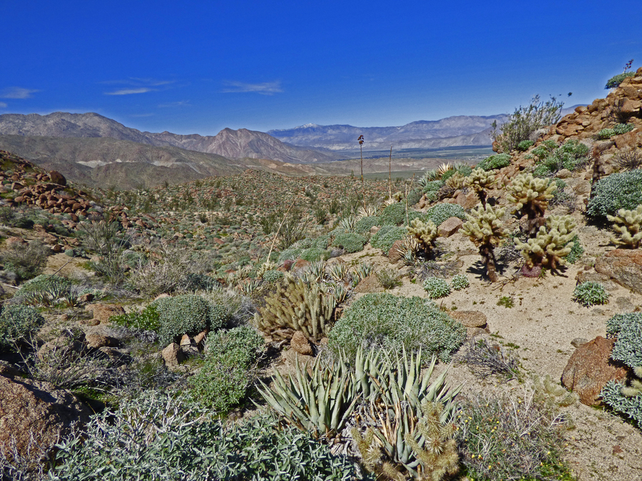 View of Tubb Canyon & Borrego Valley from Glorieta saddle