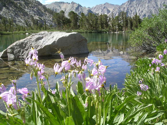 Robinson Lake in the Sierra Nevada Robinson Lake in the Sierra Nevada