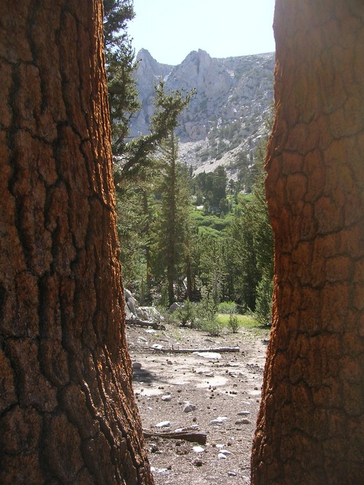 Sierra Nevada Sierra Nevada