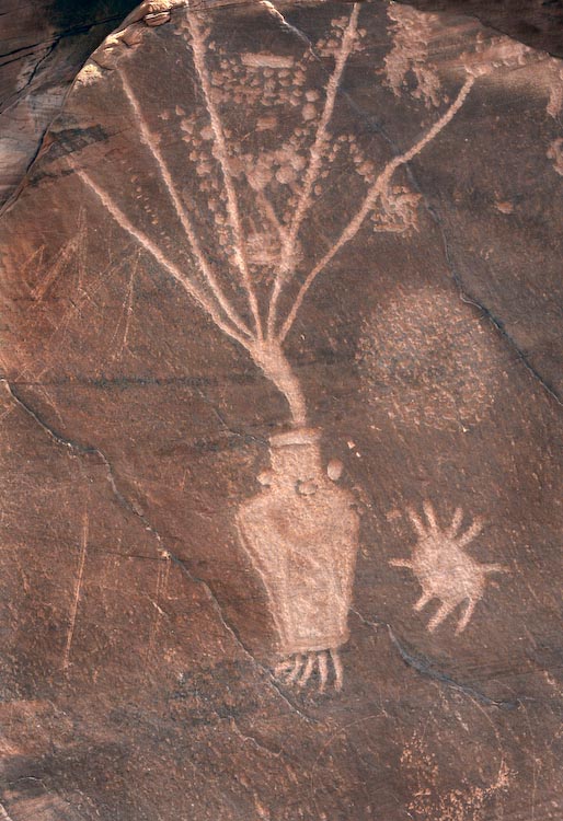 Petroglyph / Dinosaur National Monument
