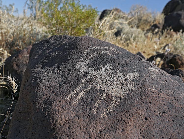 Petroglyph / Terese Site (California) Petroglyph / Terese Site (California)