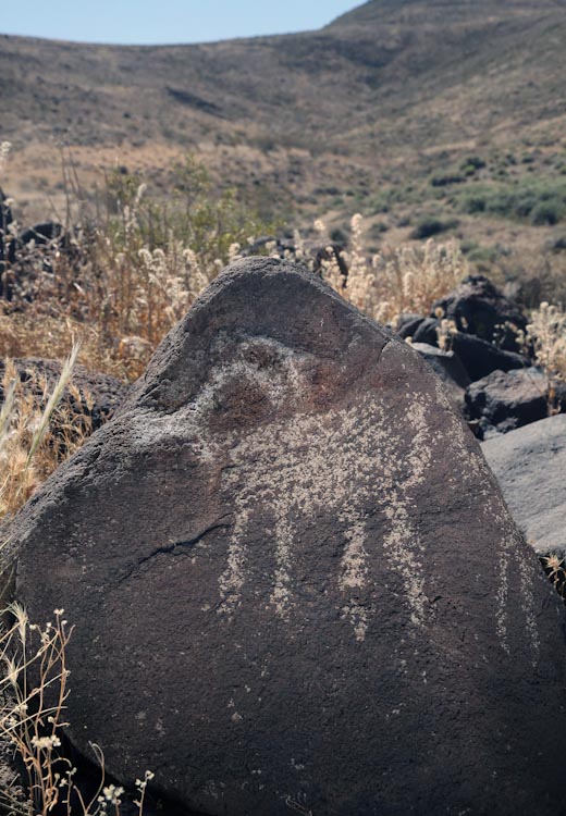 Petroglyph / Terese Site (California) Petroglyph / Terese Site (California)