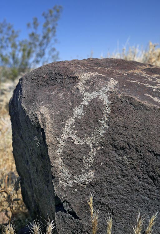 Petroglyph / Terese Site (California) Petroglyph / Terese Site (California)