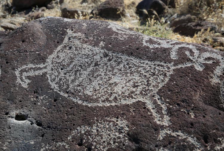 Petroglyph / Terese Site (California) Petroglyph / Terese Site (California)