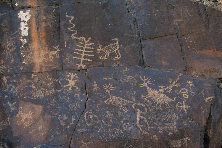 Sears Point Petroglyphs 4