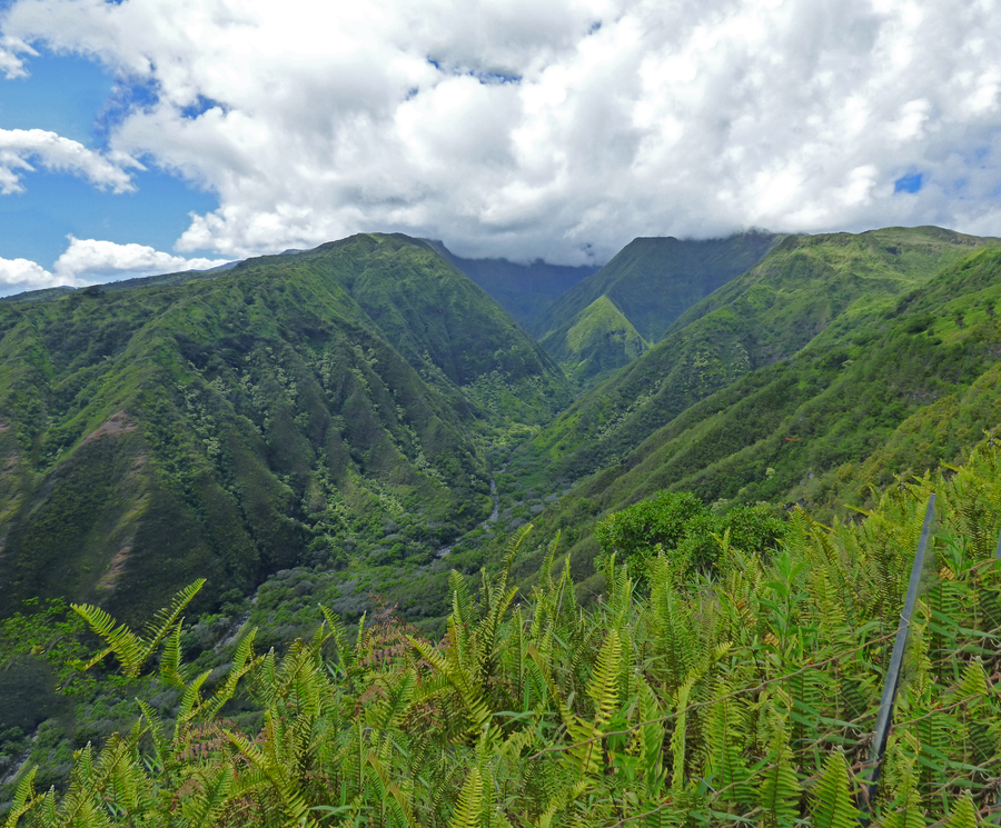 View of Iao Valley from Waihee Ridge Trail