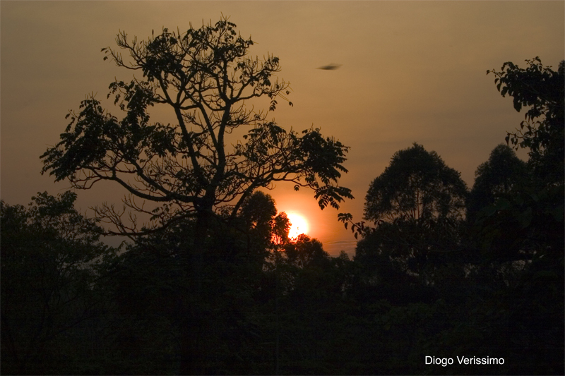 Sunset on Makarere University Biological Field Station Sunset on Makarere University Biological Field Station