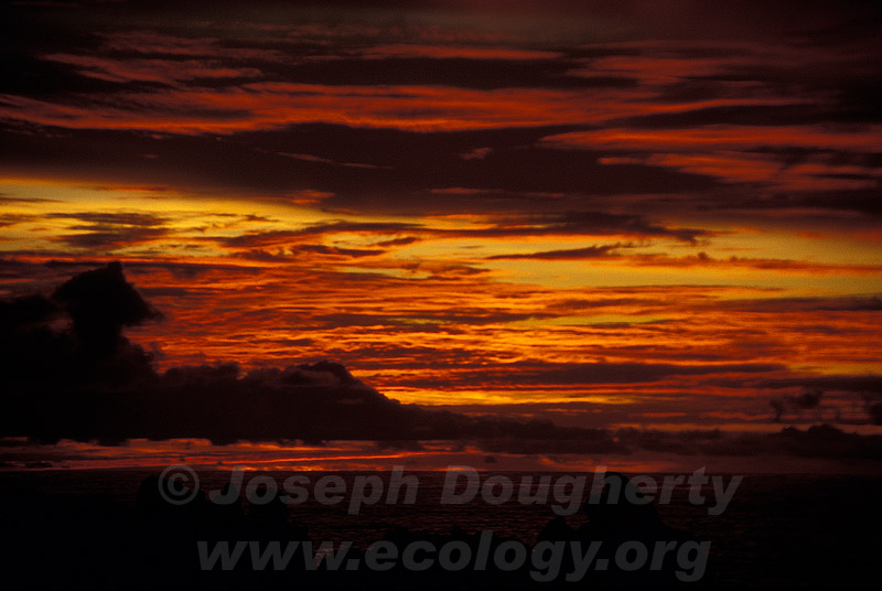 Deep colors of a late tropical sunset under cloudy skies.