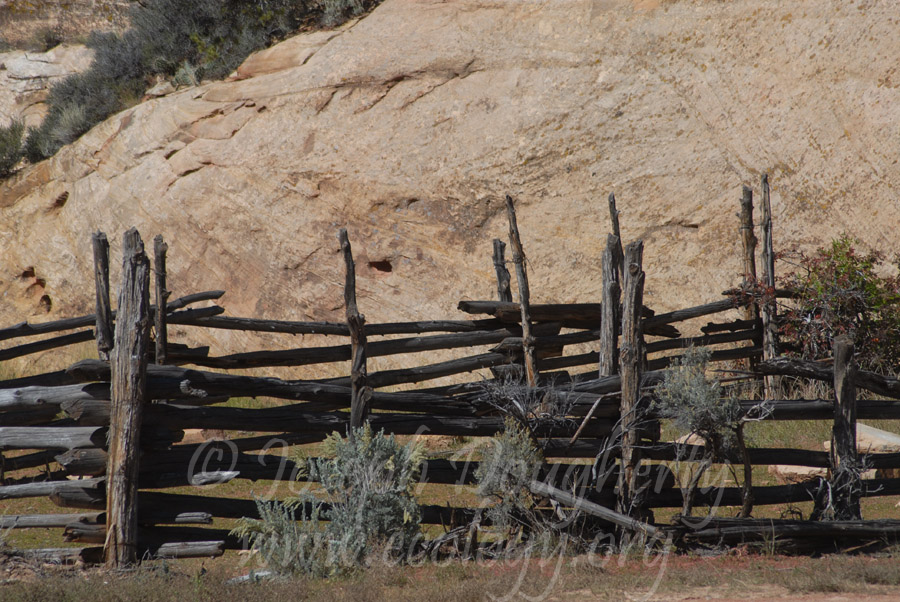 Old abandoned corral in the Great Basin desert east of Canyonlands National Park