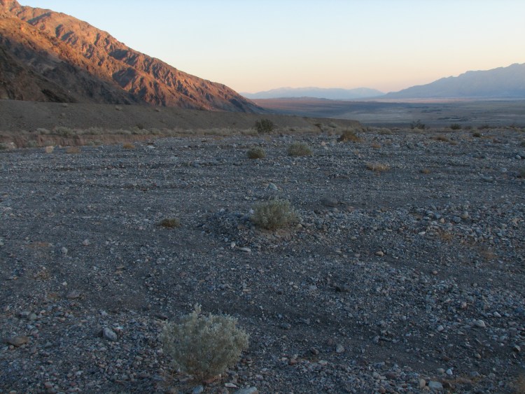 Looking South from Titus Canyon's Alluvial Fan
