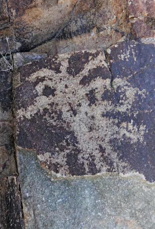 Petroglyph / Steam Well Site (California)